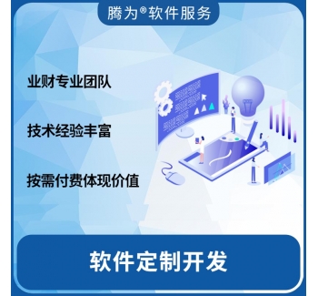 软件定制开发